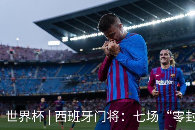 世界杯 | 西班牙门将：七场“零封” 功不在我